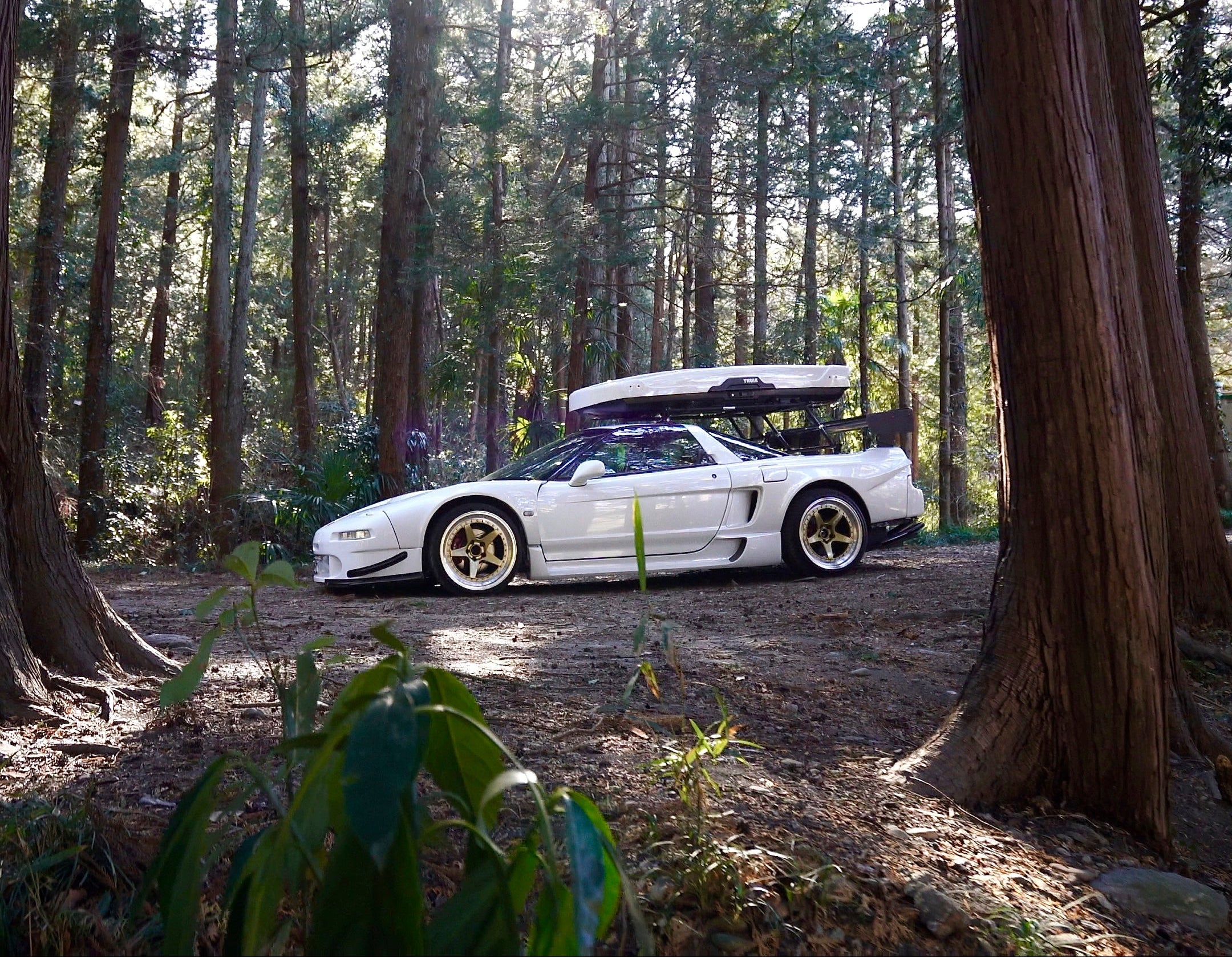 White sports car with a roof rack parked in a forest